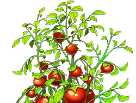 96797166761757328083